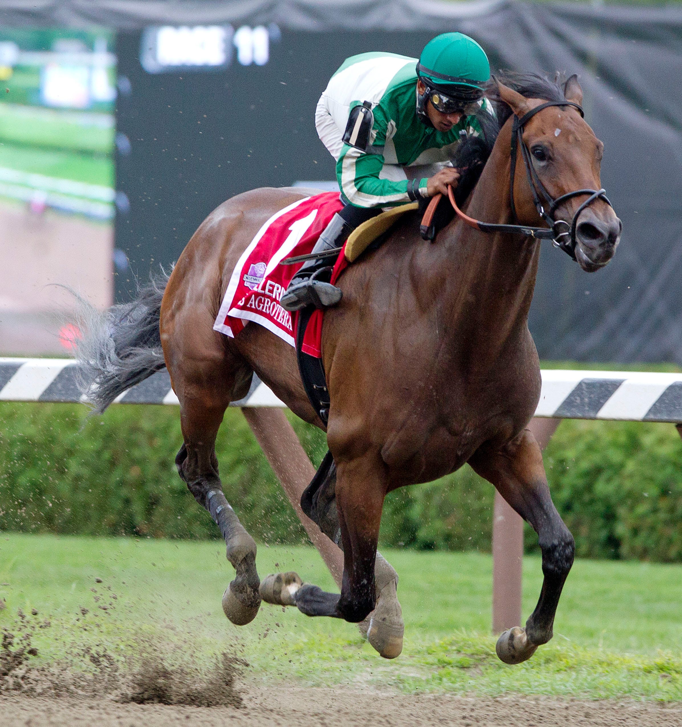 Artemis Agrotera will use Gallant Bloom as Breeders' Cup prep